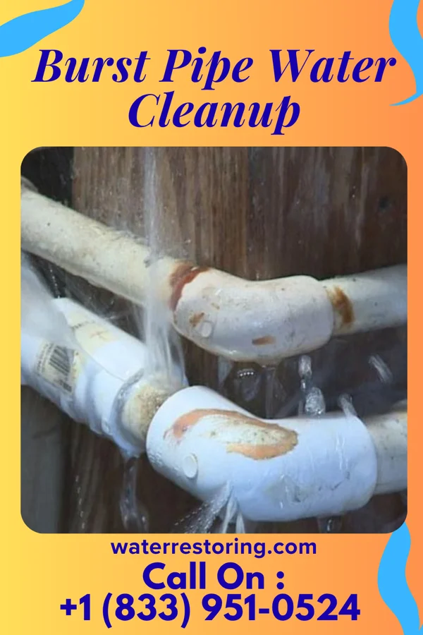 Burst Pipe Water Cleanup in Russellville, AR